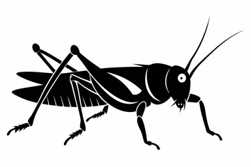 grasshopper silhouette line art vector illustration