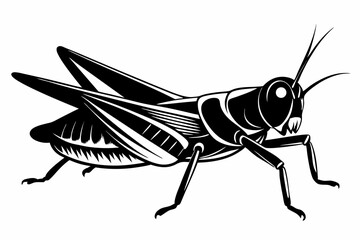 grasshopper silhouette line art vector illustration