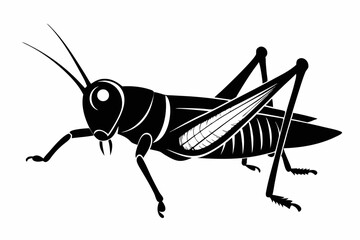 grasshopper silhouette line art vector illustration
