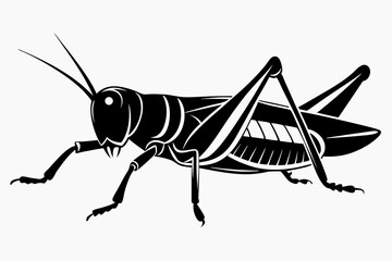 grasshopper silhouette line art vector illustration
