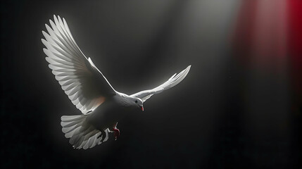 Obraz premium A white dove in mid flight with wings spread wide against a dark and partially lit background area