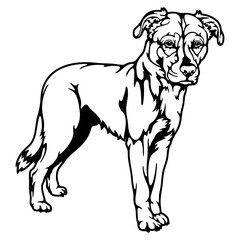 Labrador Mix Dog Breed - Pet Vector Cut file, Dog Silhouette Stencil - Cricut file