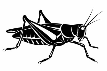 grasshopper silhouette line art vector illustration