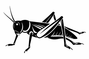 grasshopper silhouette line art vector illustration