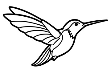 hummingbird silhouette line art vector illustration