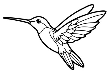 hummingbird silhouette line art vector illustration