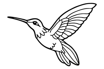 hummingbird silhouette line art vector illustration