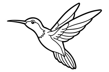 hummingbird silhouette line art vector illustration