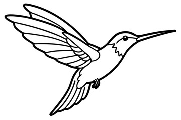 hummingbird silhouette line art vector illustration