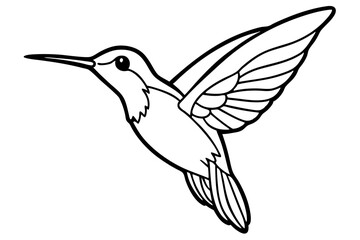 hummingbird silhouette line art vector illustration