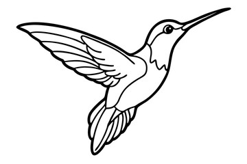 hummingbird silhouette line art vector illustration