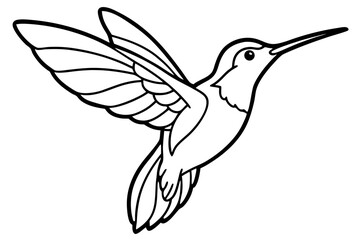 hummingbird silhouette line art vector illustration