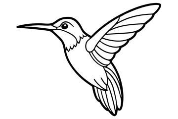 hummingbird silhouette line art vector illustration