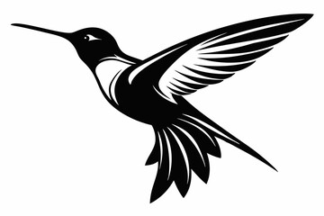 hummingbird silhouette line art vector illustration