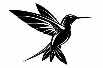 hummingbird silhouette line art vector illustration