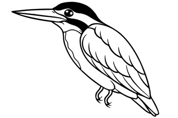 kingfisher silhouette line art vector illustration