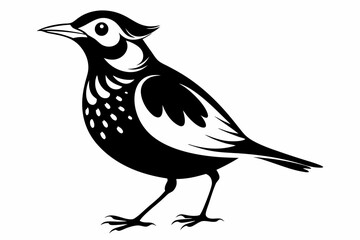 Fototapeta premium lark silhouette line art vector illustration