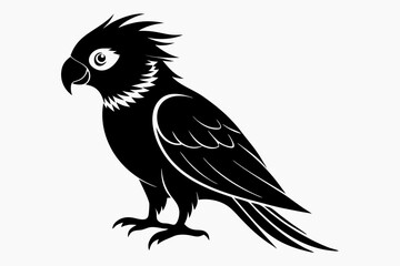 lorikeet silhouette line art vector illustration
