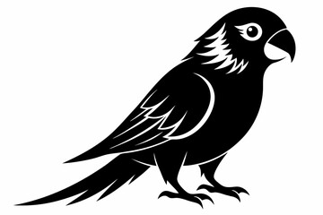 lorikeet silhouette line art vector illustration