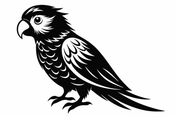 lorikeet silhouette line art vector illustration