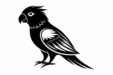 lorikeet silhouette line art vector illustration