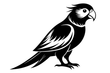 Fototapeta premium lorikeet silhouette line art vector illustration