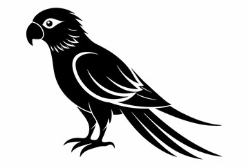 lorikeet silhouette line art vector illustration