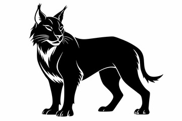 lynx silhouette line art vector illustration