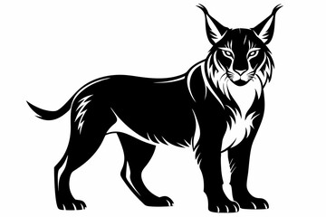 lynx silhouette line art vector illustration