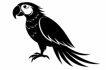 macaw silhouette line art vector illustration