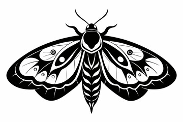 moth silhouette line art vector illustration