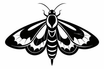 moth silhouette line art vector illustration