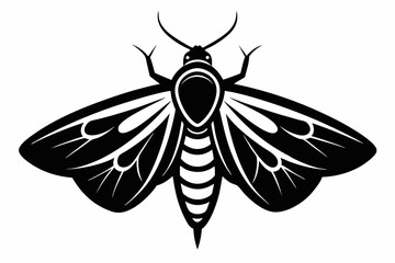 moth silhouette line art vector illustration