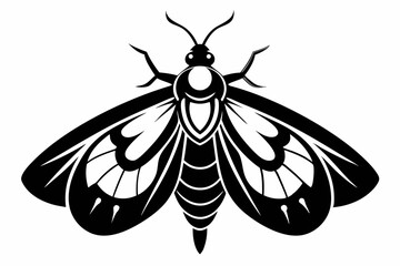 moth silhouette line art vector illustration