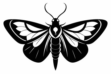 moth silhouette line art vector illustration