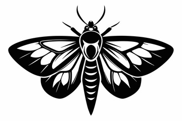 moth silhouette line art vector illustration