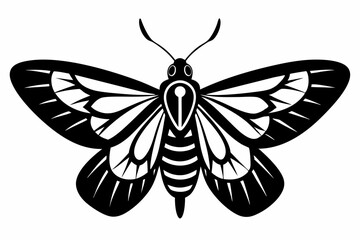 moth silhouette line art vector illustration