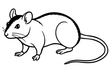 mouse silhouette line art vector illustration