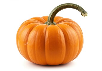 A single orange pumpkin with a green stem sitting on a plain white surface in a studio shot