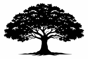 oak tree silhouette line art vector illustration © kanchanrani