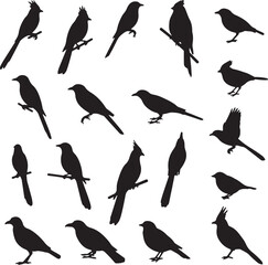 Fototapeta premium Bird Silhouettes: EPS 10 Vector Graphics Collection
