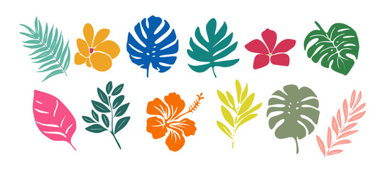 Tropical leaves and flowers colorful set. Mostera, Palm leves, plumeria, hibiscus flowers. Flat vector illustrations isolated on transparent background