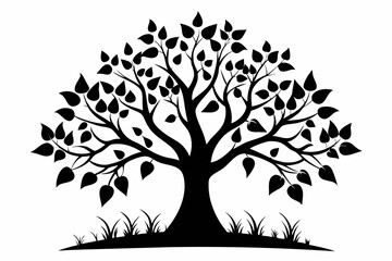 Obraz premium peepal tree silhouette line art vector illustration
