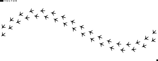 Chicken paw prints. Hen paw prints vector 