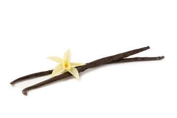 Vanilla pods isolated on white background. Vanilla flowers and seeds. vanilla stick bean. Aromatic spicy spice for pastries and desserts. Seasoning. Space for text. Copy Space