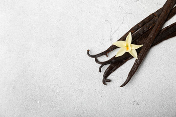 Vanilla pods on a textured background. Vanilla flowers and seeds. vanilla stick bean. Aromatic...