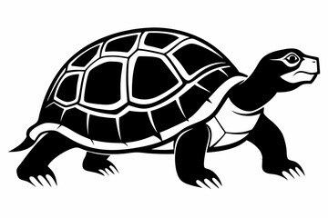 tortoise silhouette line art vector illustration