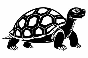 tortoise silhouette line art vector illustration