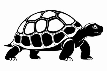 tortoise silhouette line art vector illustration