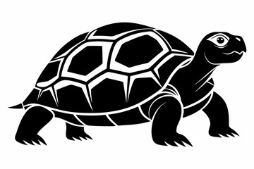 tortoise silhouette line art vector illustration